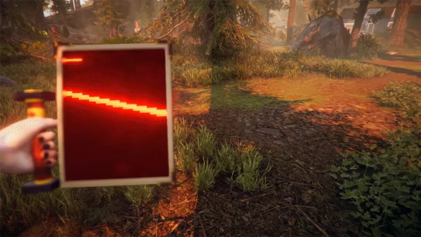 The Forest Cathedral video 2