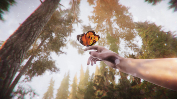 The Forest Cathedral screenshot 5