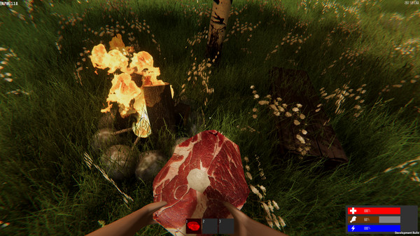 Dry Grass Screenshot