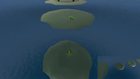 Frog Space video 4