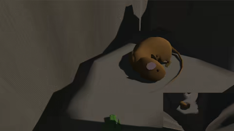 Frog Space video 2