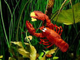 Screenshot z Aquarium Life