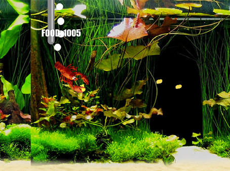 Screenshot z Aquarium Life