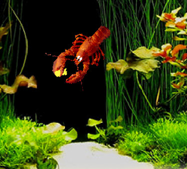 Screenshot z Aquarium Life