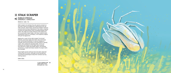 In Other Waters: A Study of Gliese 667Cc