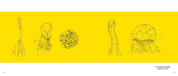 In Other Waters: A Study of Gliese 667Cc