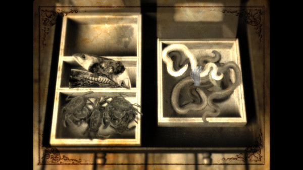 Screenshot 33