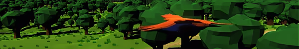 Bird Missions video 2