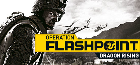 Operation Flashpoint: Dragon Rising crack status