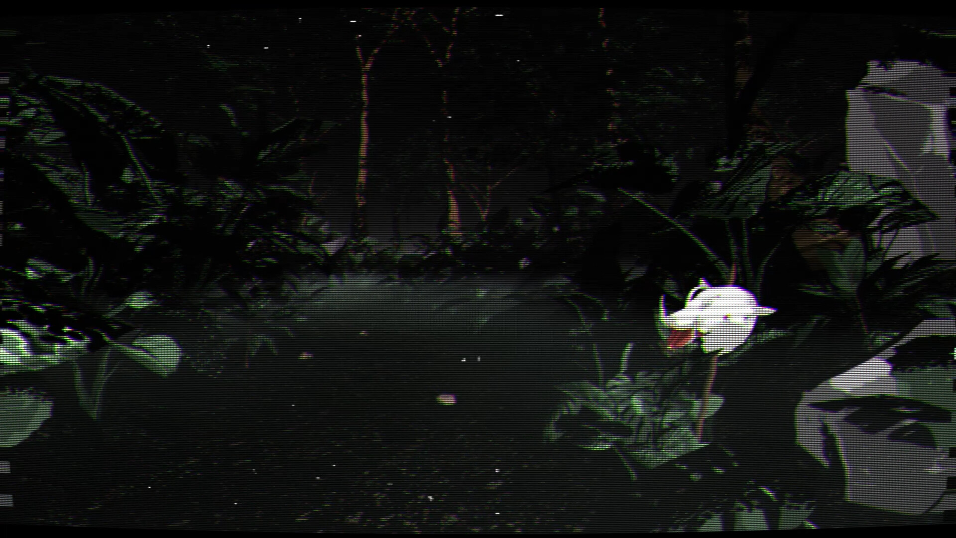 Borneo: A Jungle Nightmare screenshot #6