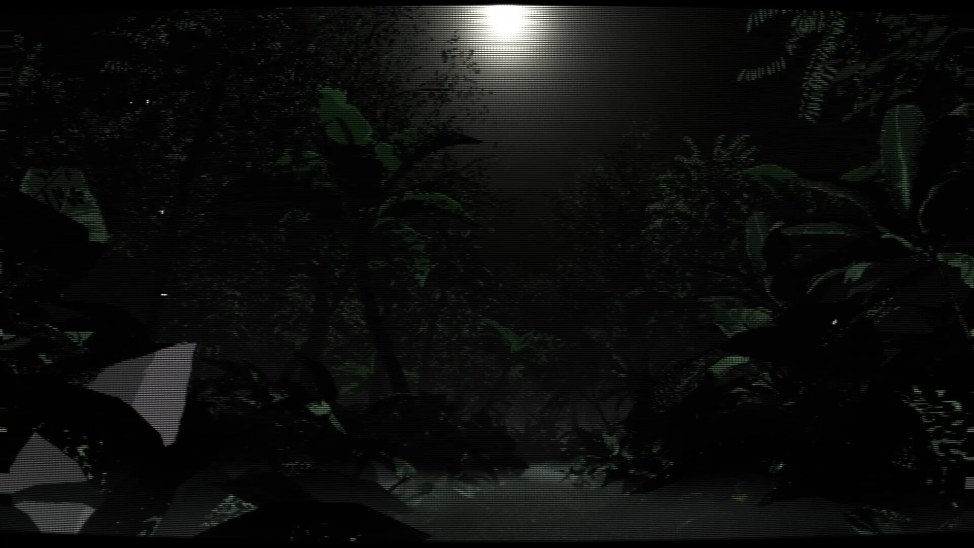 Borneo: A Jungle Nightmare screenshot #8