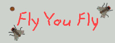 Fly You Fly