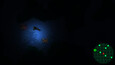 Screenshot #10