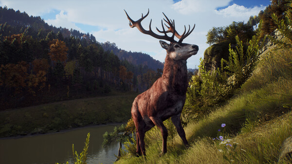 Way of the Hunter (Elite Edition) (Steam) screenshot 21