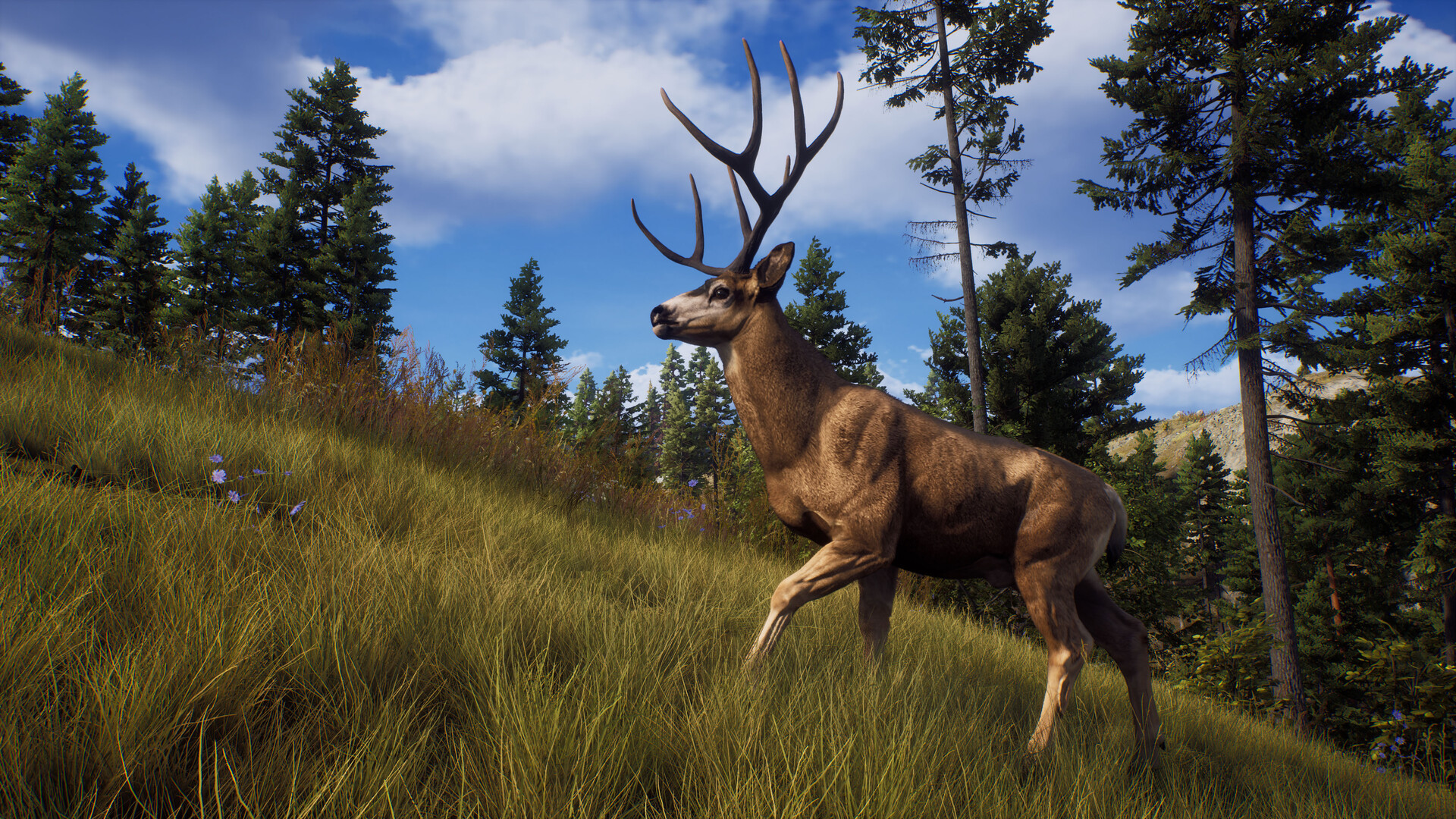Screenshot 23