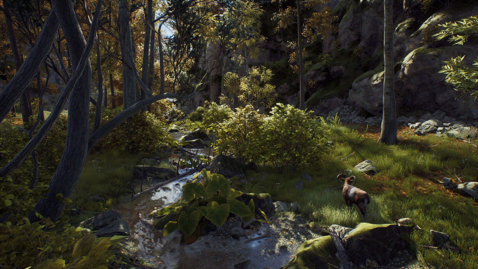 Screenshot 19