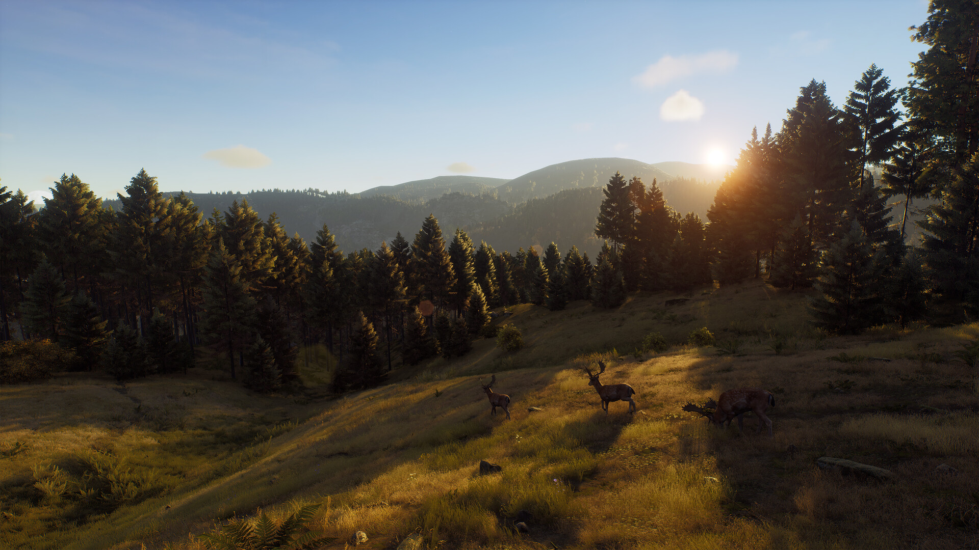 Way of the Hunter screenshot #14