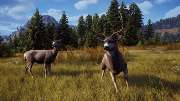 Screenshot 26