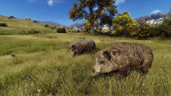 狩猎之道-游戏截图