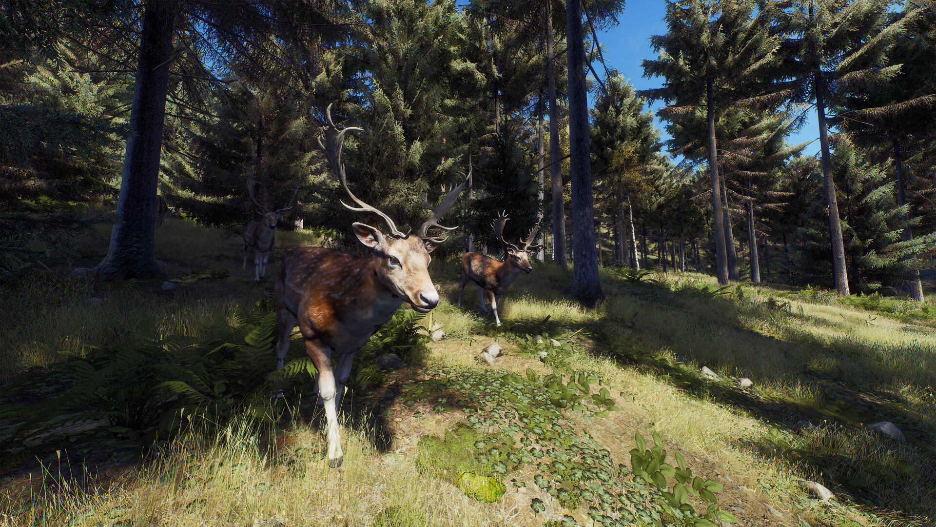 Screenshot 22