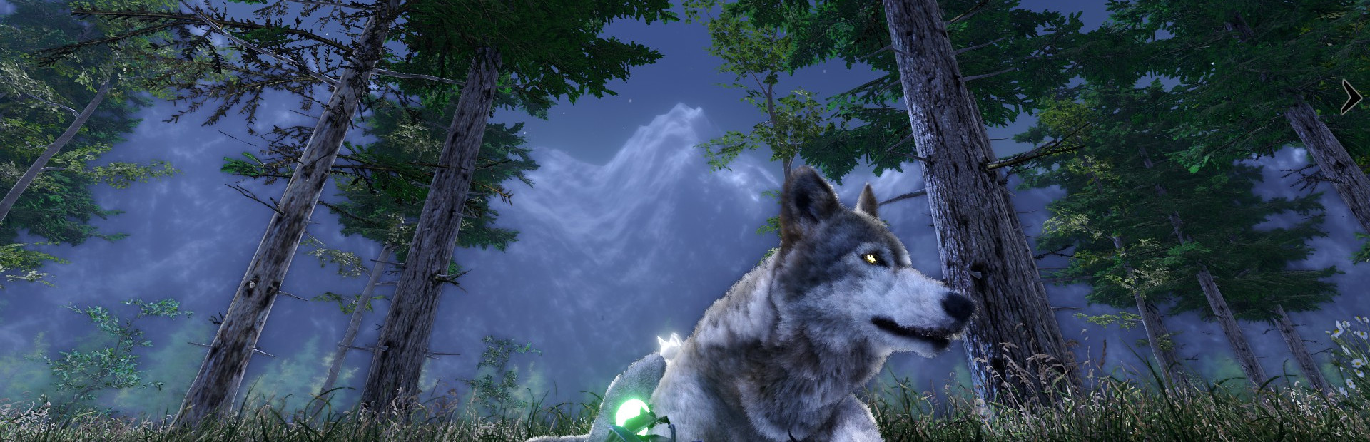 Tale Of A Wolf