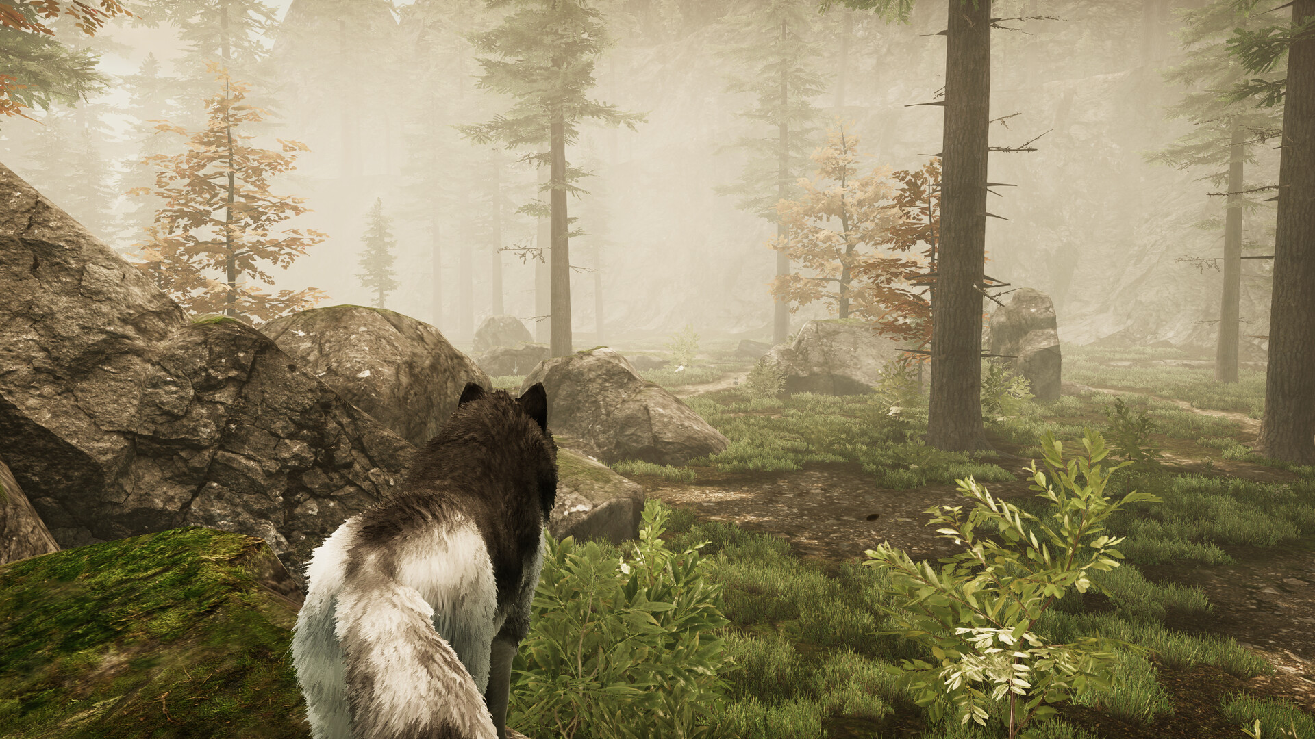 Tale Of A Wolf screenshot #8