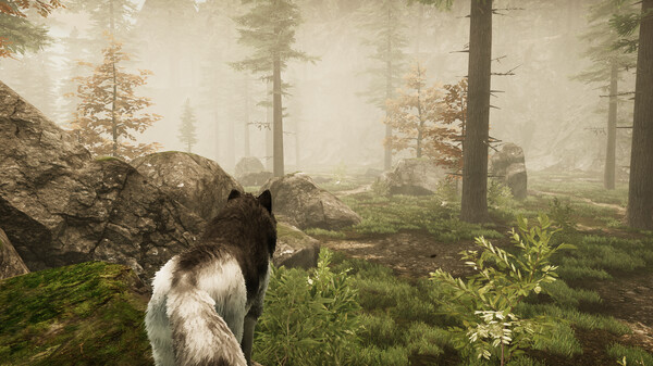 Tale Of A Wolf screenshot 8