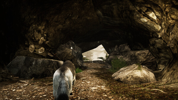 Tale Of A Wolf screenshot 6