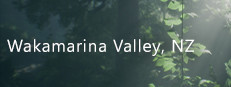 Wakamarina Valley, New Zealand
