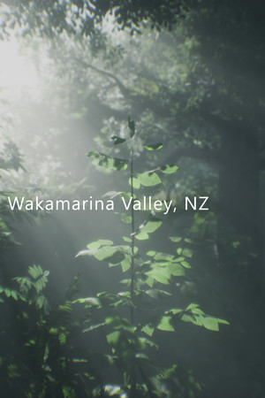 Cover art of Wakamarina Valley, New Zealand