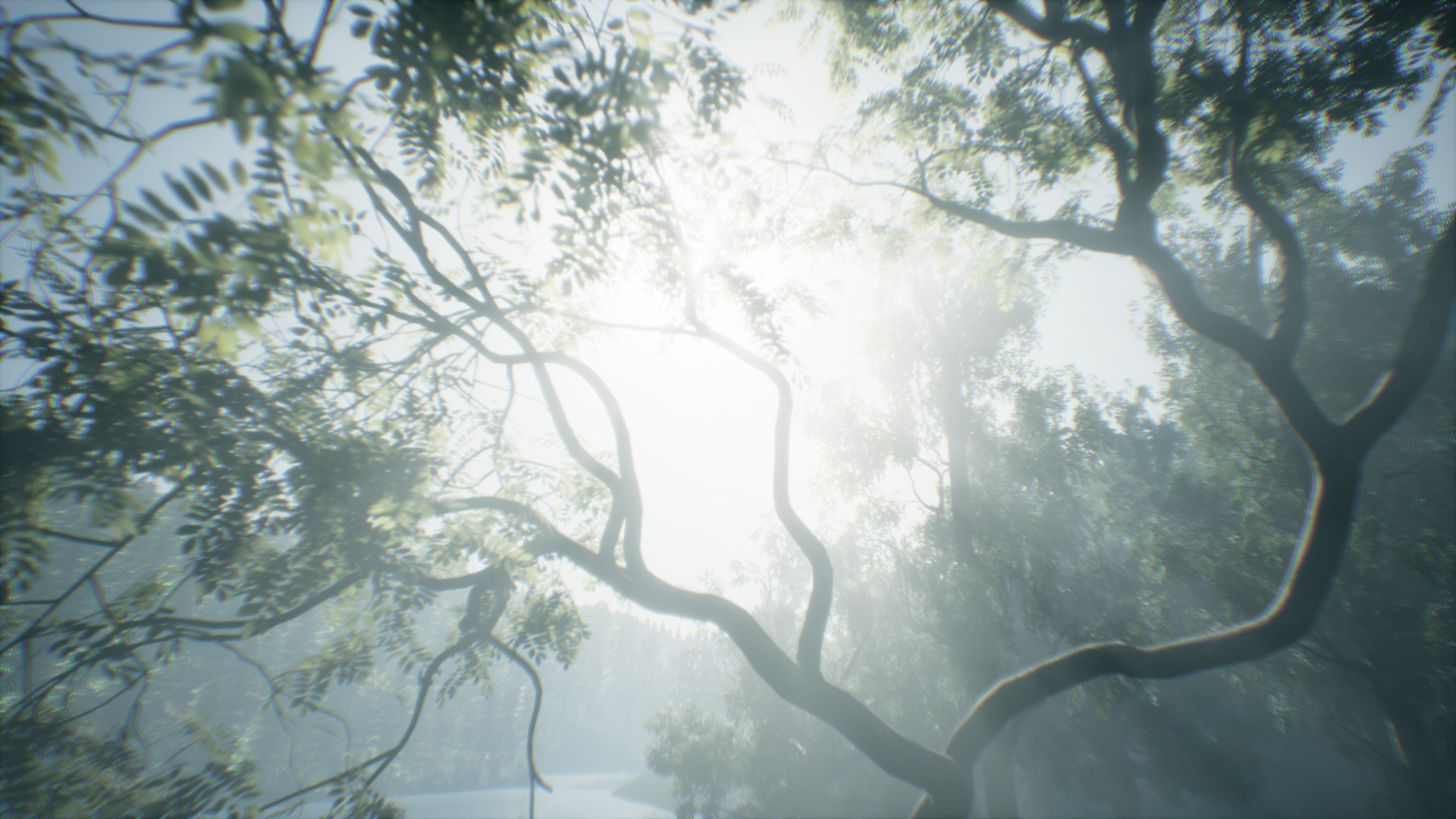 Wakamarina Valley, New Zealand screenshot #9