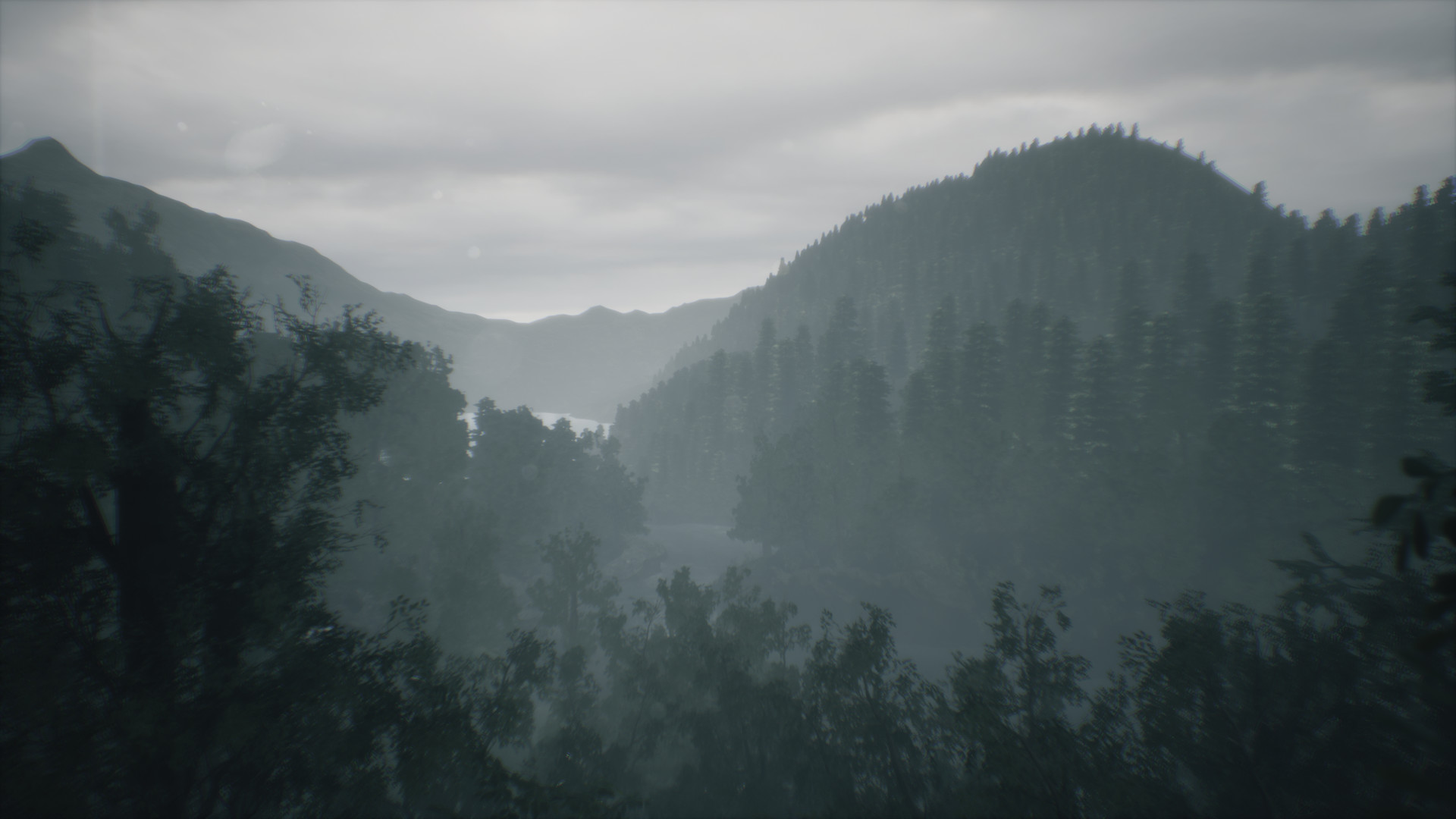 Wakamarina Valley, New Zealand screenshot #8