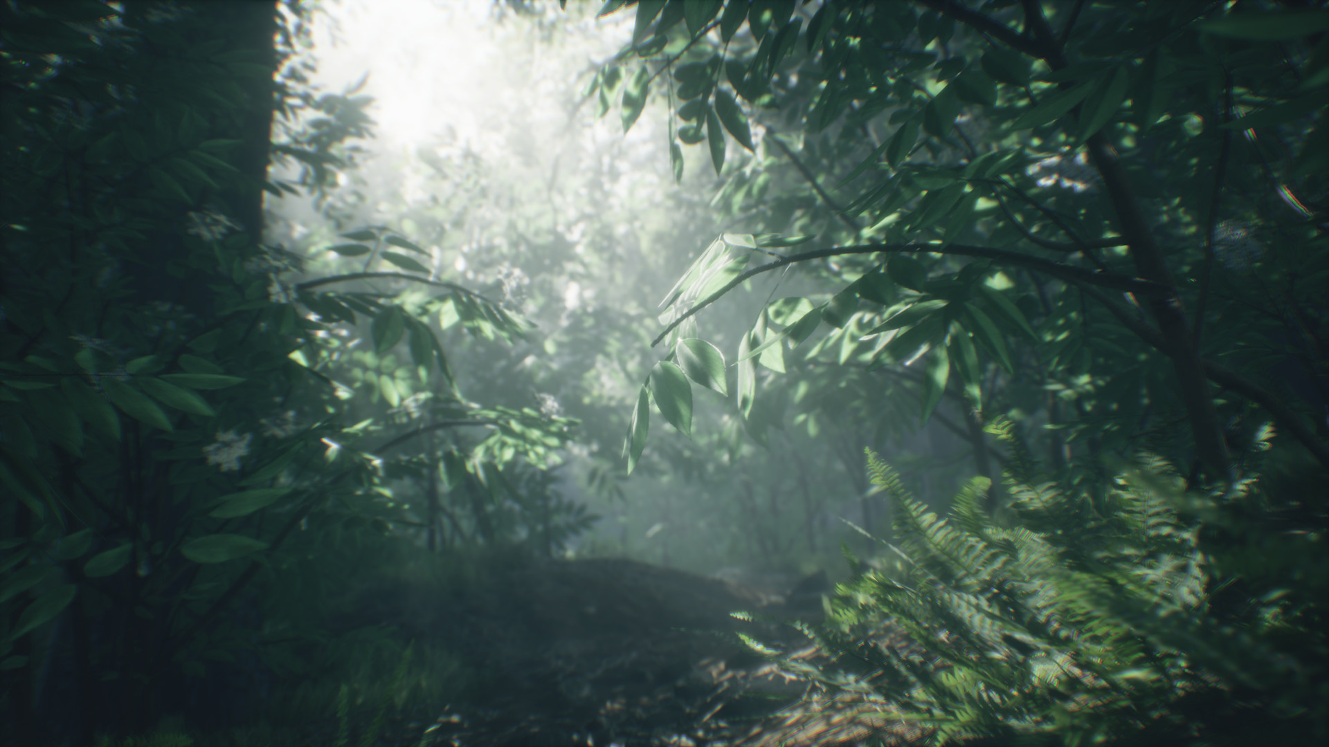 Wakamarina Valley, New Zealand screenshot #7