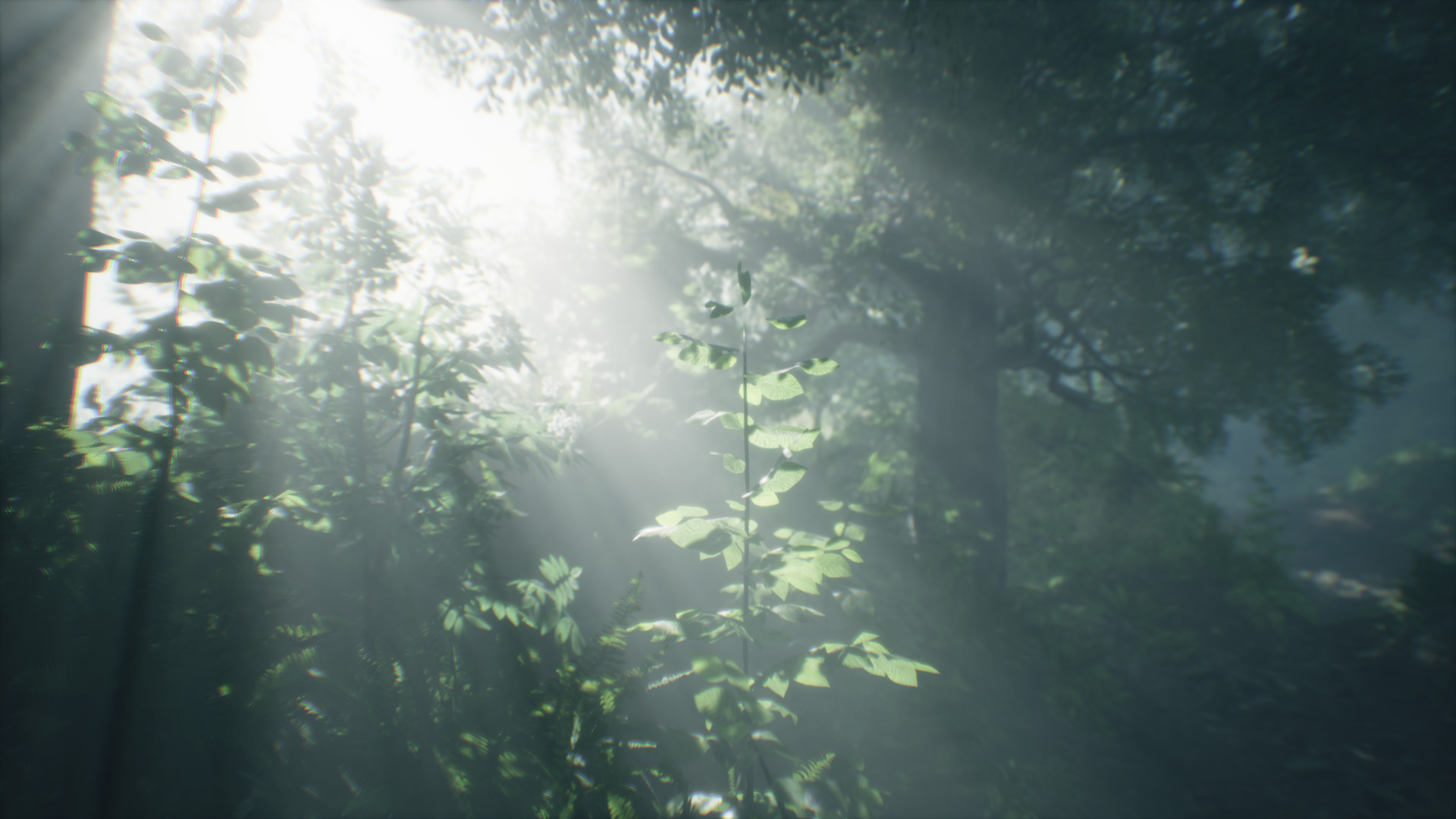 Find the best computers for Wakamarina Valley, New Zealand