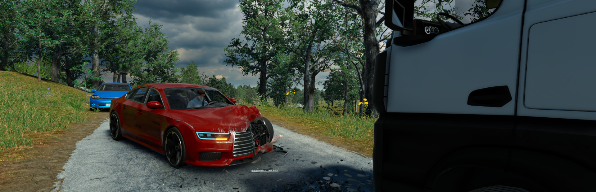 Accident: The Pilot