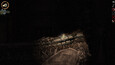Screenshot #10