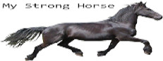 My Strong Horse