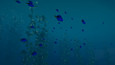 Screenshot #8