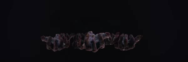 What Happened video 1