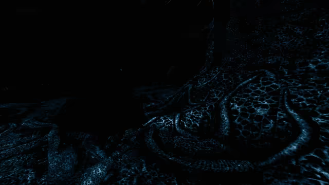 The Shore video 4