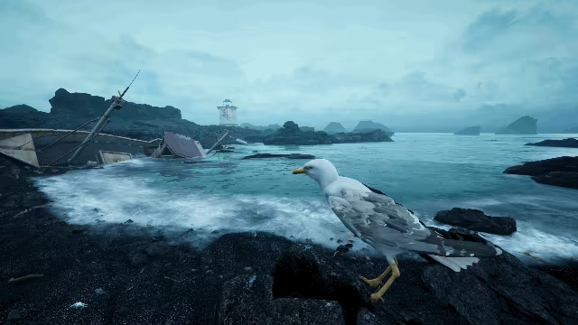 The Shore video 2