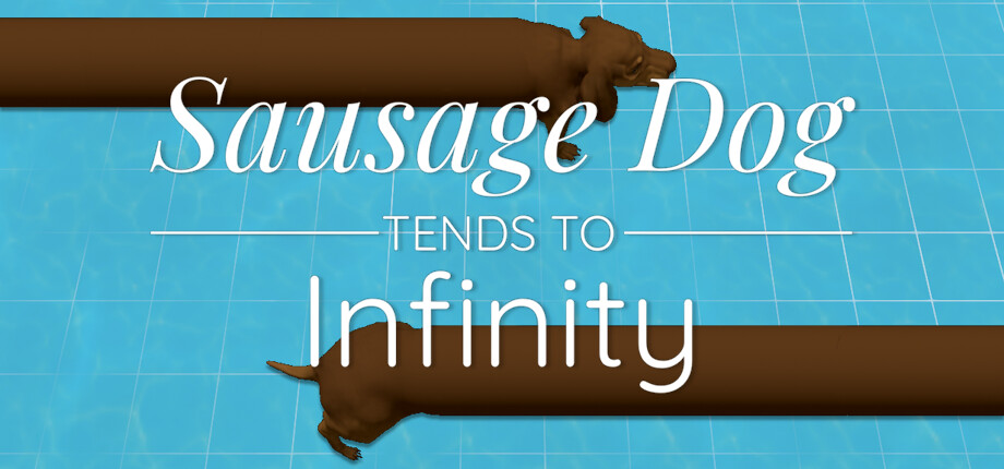 Sausage Dog Tends To Infinity cover art