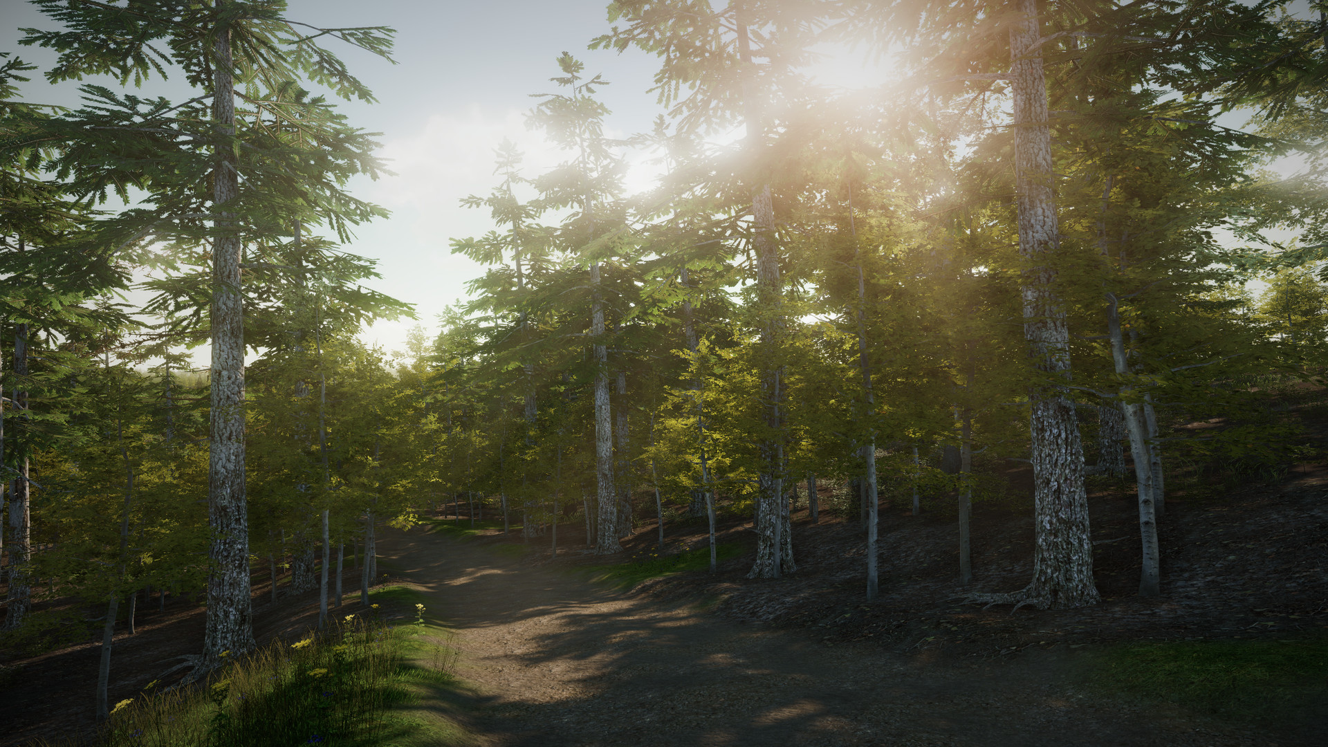 EreaDrone : FPV Drone Simulator screenshot #24