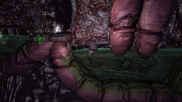 The prisoner of the Night.