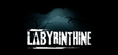 Labyrinthine Cover Image