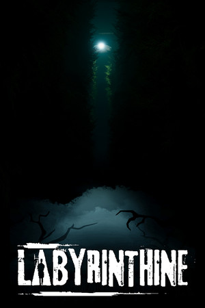 Cover art of Labyrinthine