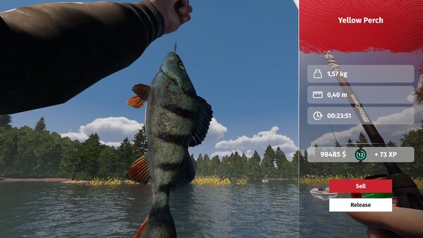 Скриншот 1 из игры MLF: Pro Catch