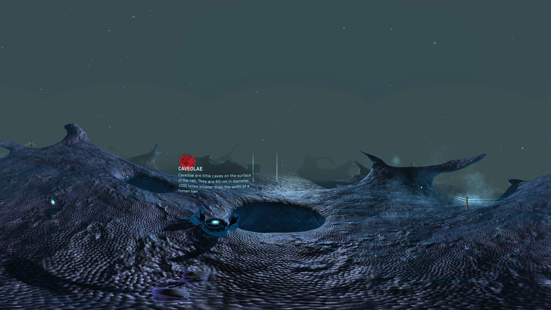 #6. Journey to the Centre of the Cell (Steam) Ved: 3D Visualisation Aesthetics Lab