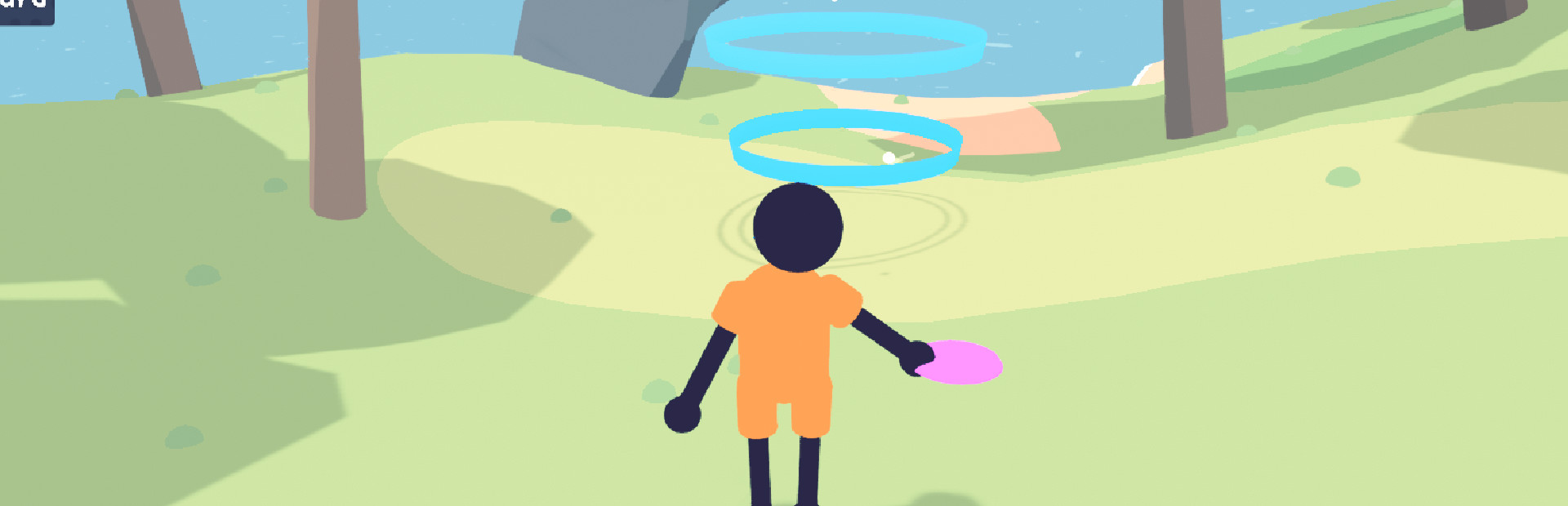 disc party
