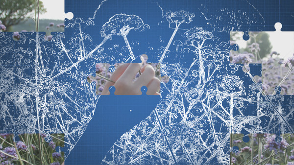 Screenshot z 动绘（Drawing）